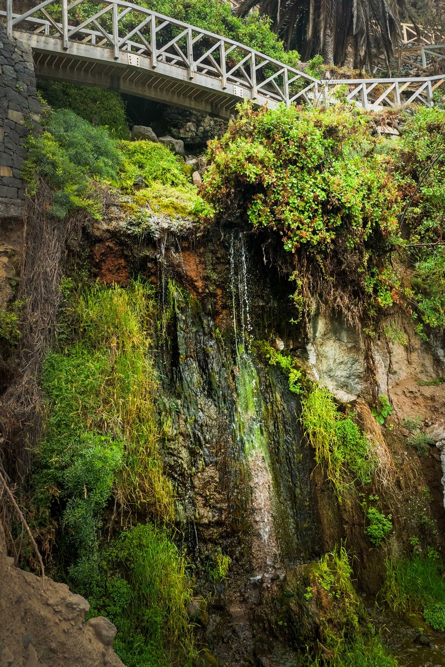 Ultimate Guide to Discovering the Enchanting Wonders of Santa Cruz!